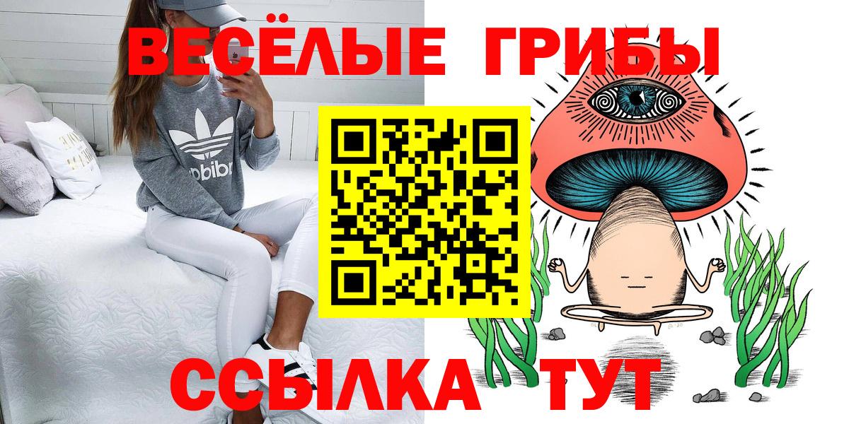 Галлюциногенные грибы GOLDEN TEACHER Обнинск