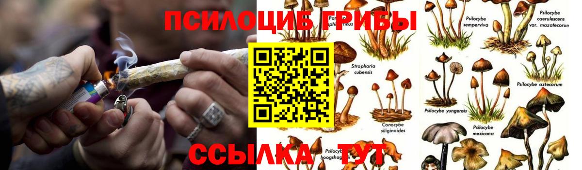 Псилоцибиновые грибы мухоморы  Псилоцибиновые грибы Cubensis  Обнинск  Вход с VPN 